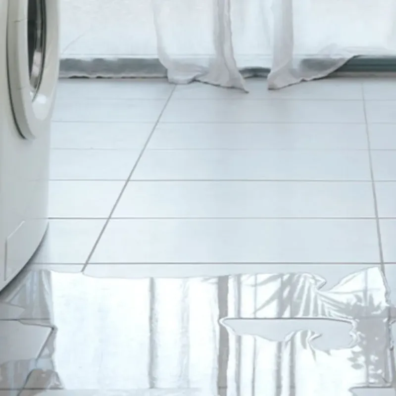Appliance Leak Cleanup in Finney County, KS