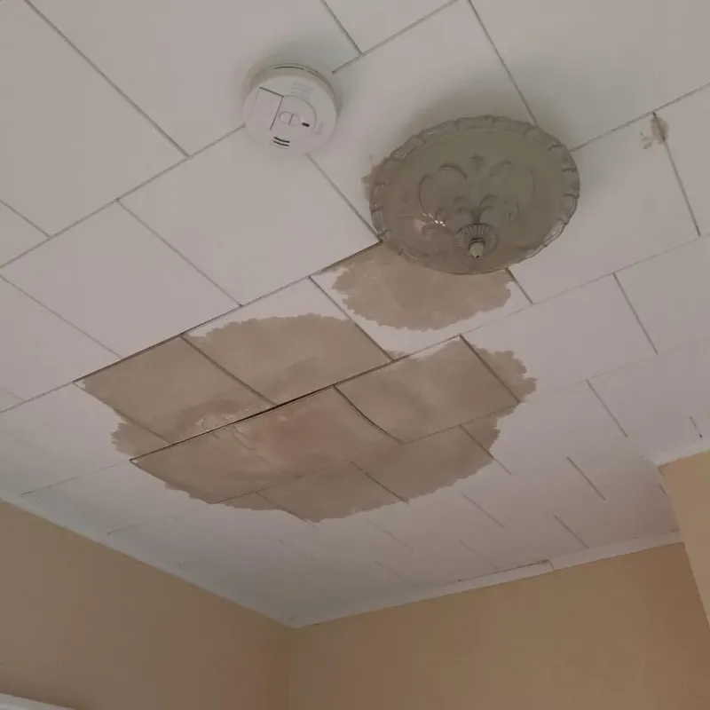 Ceiling Water Damage Repair in Finney County, KS