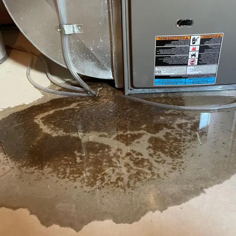 Pipe Burst and Leak Restoration in Finney County, KS