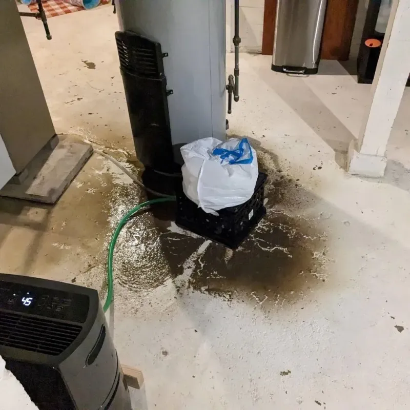 Sewage Backup Cleanup Service in Finney County, KS